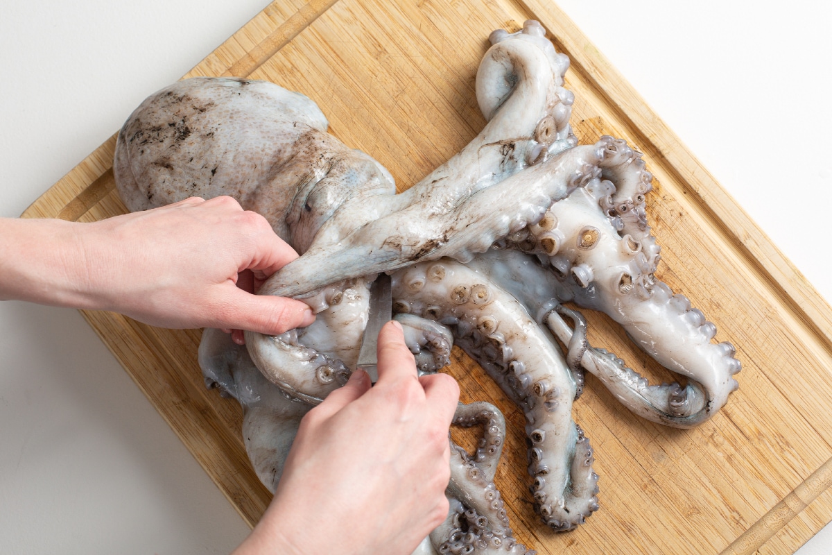 How to Clean and Cook Octopus