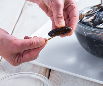 How to Clean and Open Mussels