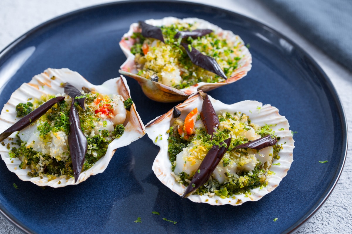 Scallops au Gratin with Eggplants