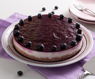 Ricotta and Blueberry Cake
