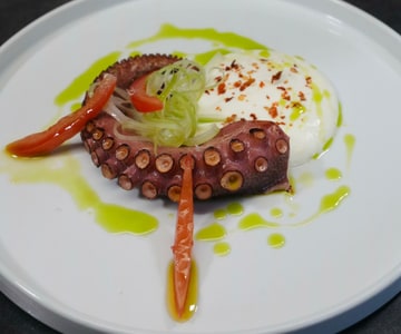 Grilled Octopus with Burrata and Parsley Oil