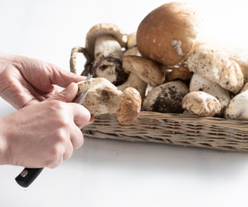 How to Clean Porcini Mushrooms